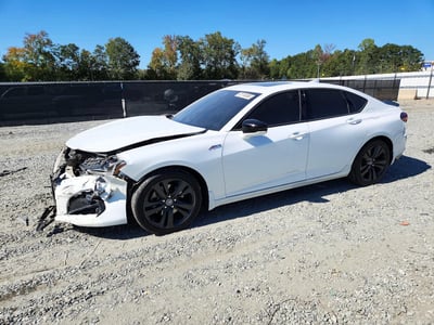 19UUB6F55MA****** 2021 Acura TLX