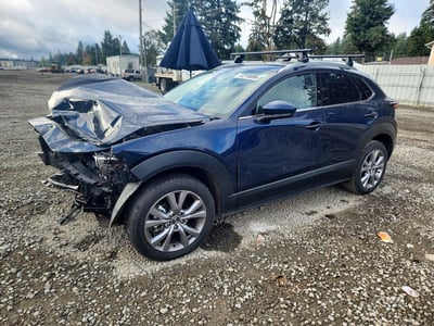 3MVDMBDM7MM****** 2021 Mazda CX-30