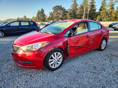 KNAFX4A61G5****** 2016 Kia Forte