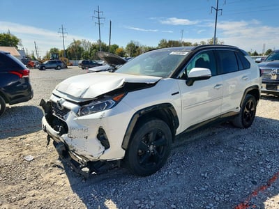2T3EWRFV9KW****** 2019 Toyota RAV4