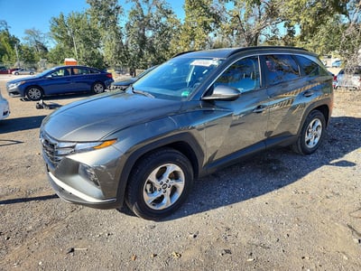 5NMJBCAE1PH****** 2023 Hyundai Tucson