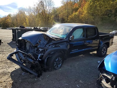 3TMCZ5AN7PM****** 2023 Toyota Tacoma