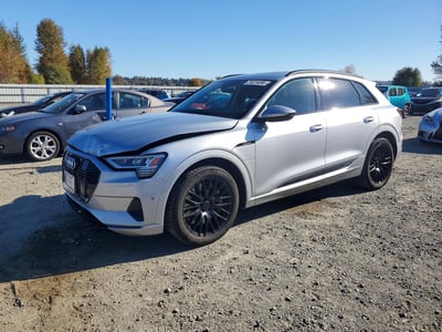 WA1AAAGE2MB****** 2021 Audi E-tron