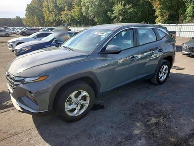 5NMJACDE4RH****** 2024 Hyundai Tucson