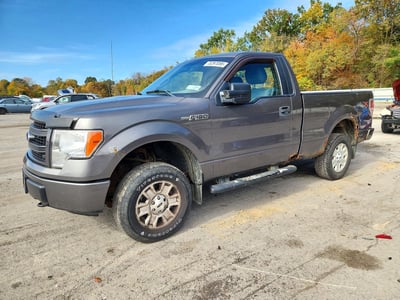 1FTMF1EM7DK****** 2013 Ford F-150