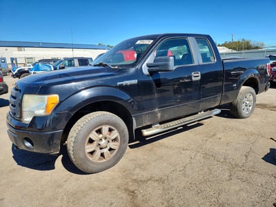 1FTRX14W69F****** 2009 Ford F-150