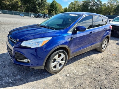1FMCU0G79GU****** 2016 Ford Escape