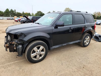 1FMCU0E70BK****** 2011 Ford Escape