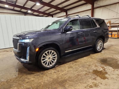 1GYS4BKL7RR****** 2024 Cadillac Escalade