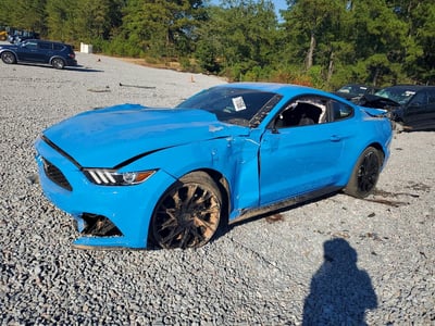 1FA6P8AM0H5****** 2017 Ford Mustang