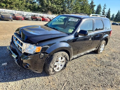 1FMCU0EG1AK****** 2010 Ford Escape