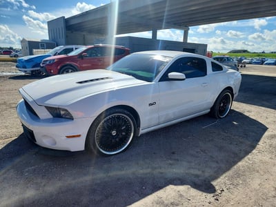 1ZVBP8CF2D5****** 2013 Ford Mustang