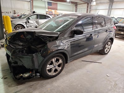 1FMCU0GX3EU****** 2014 Ford Escape