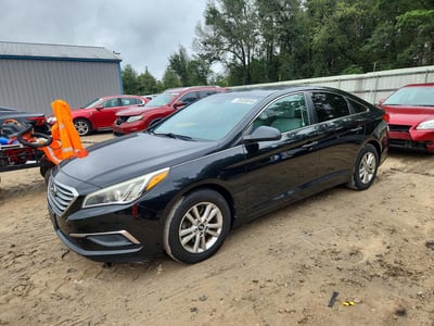 5NPE24AF2GH****** 2016 Hyundai Sonata