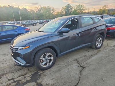 5NMJACDE0RH****** 2024 Hyundai Tucson