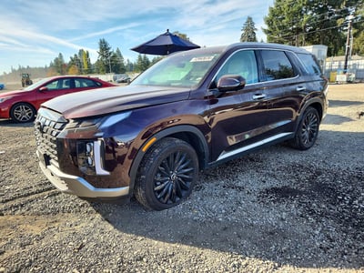 KM8R5DGE5SU****** 2025 Hyundai Palisade