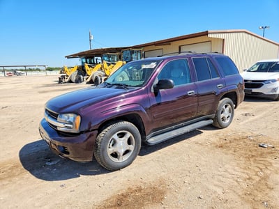 1GNDT13S582****** 2008 Chevrolet Trailblazer