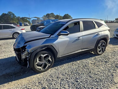 5NMJB3DEXRH****** 2024 Hyundai Tucson