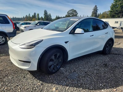 5YJYGDEEXMF****** 2021 Tesla Model Y