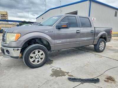 1FTFW1ETXBF****** 2011 Ford F-150