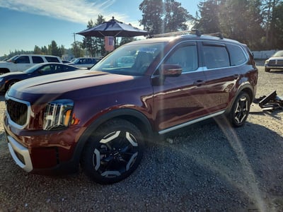 5XYP3DGC2PG****** 2023 Kia Telluride