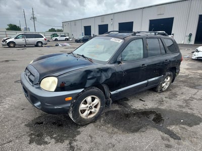 KM8SC13D66U****** 2006 Hyundai Santa Fe