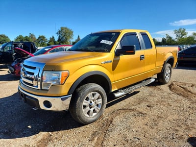1FTRX14829K****** 2009 Ford F-150