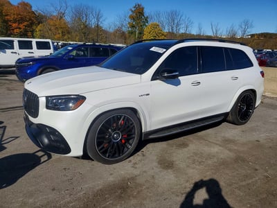 4JGFF8KE0SB****** 2025 Mercedes-Benz GLS-Class
