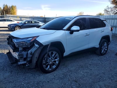 JTMN1RFV5PD****** 2023 Toyota RAV4