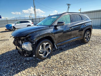 KM8JECA18PU****** 2023 Hyundai Tucson Hybrid