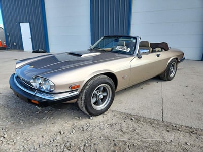 SAJTW4847MC****** 1991 Jaguar XJS