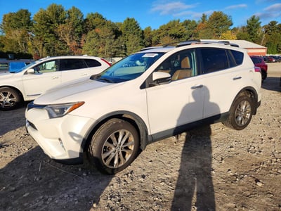 2T3DFREVXGW****** 2016 Toyota RAV4
