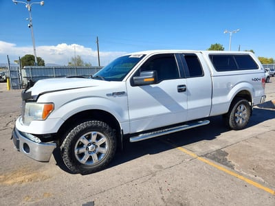 1FTFX1EF9DK****** 2013 Ford F-150