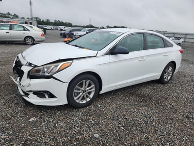 5NPE24AF8GH****** 2016 Hyundai Sonata