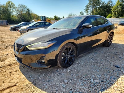 1N4AA6EV3PC****** 2023 Nissan Maxima