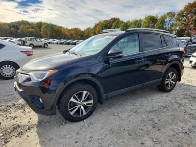 2T3RFREV2GW****** 2016 Toyota RAV4