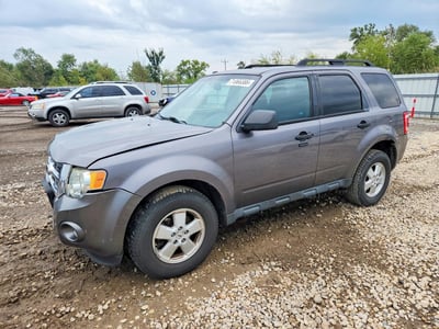 1FMCU0DG7AK****** 2010 Ford Escape