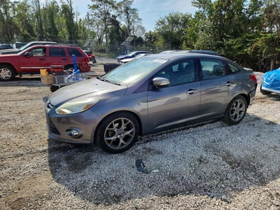 1FADP3F23DL****** 2013 Ford Focus
