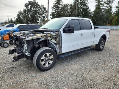1FTFW1EF7DK****** 2013 Ford F-150