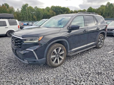5FNYG1H86RB****** 2024 Honda Pilot