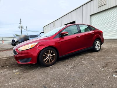 1FADP3F26HL****** 2017 Ford Focus
