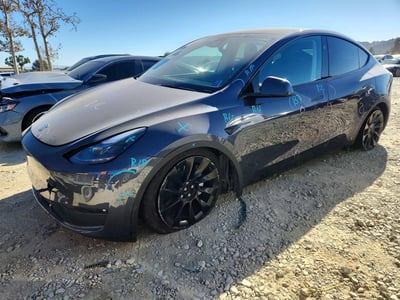 7SAYGAEE0PF****** 2023 Tesla Model Y