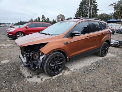 1FMCU9J90HU****** 2017 Ford Escape