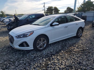 5NPE34AF8KH****** 2019 Hyundai Sonata