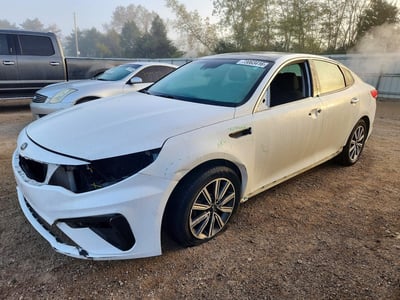 5XXGT4L37KG****** 2019 Kia Optima