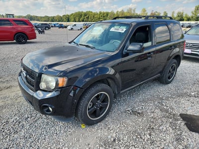 1FMCU0D7XAK****** 2010 Ford Escape