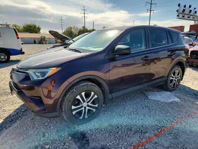 2T3BFREV4HW****** 2017 Toyota RAV4