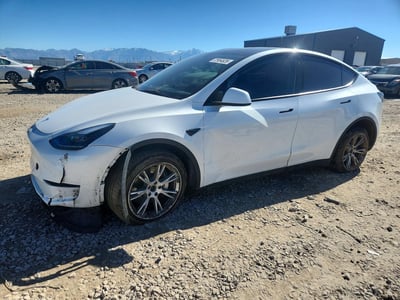 7SAYGDEE4PF****** 2023 Tesla Model Y