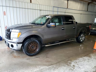 1FTEW1E89AF****** 2010 Ford F-150