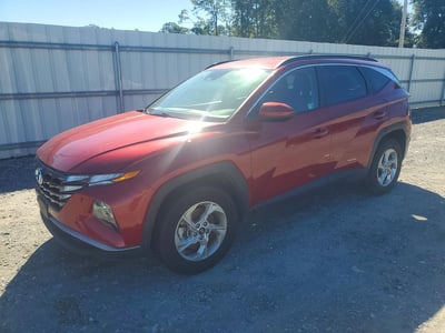 5NMJBCDE7RH****** 2024 Hyundai Tucson